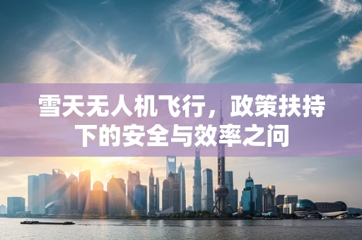 雪天无人机飞行，政策扶持下的安全与效率之问