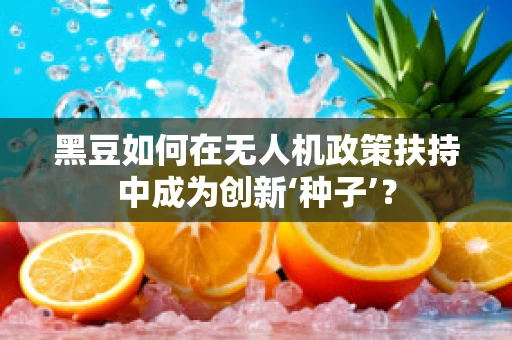 黑豆如何在无人机政策扶持中成为创新‘种子’？