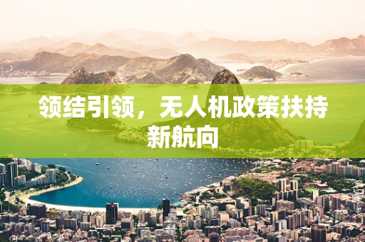 领结引领，无人机政策扶持新航向