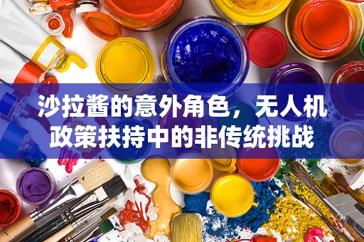 沙拉酱的意外角色，无人机政策扶持中的非传统挑战