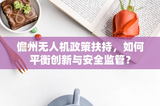 儋州无人机政策扶持，如何平衡创新与安全监管？