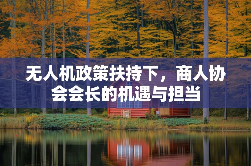 无人机政策扶持下，商人协会会长的机遇与担当