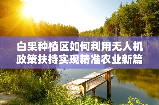 白果种植区如何利用无人机政策扶持实现精准农业新篇章？