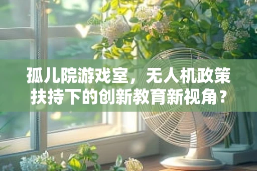 孤儿院游戏室，无人机政策扶持下的创新教育新视角？