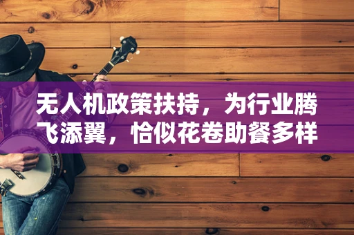 无人机政策扶持，为行业腾飞添翼，恰似花卷助餐多样