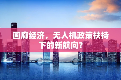 画廊经济，无人机政策扶持下的新航向？