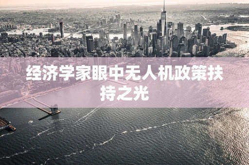 经济学家眼中无人机政策扶持之光