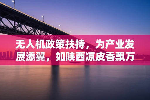 无人机政策扶持，为产业发展添翼，如陕西凉皮香飘万里