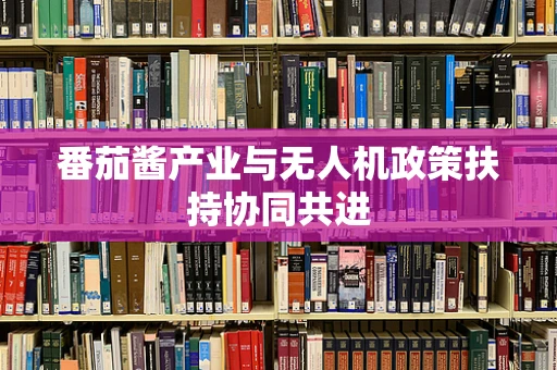 番茄酱产业与无人机政策扶持协同共进