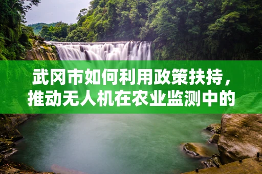 武冈市如何利用政策扶持，推动无人机在农业监测中的创新应用？