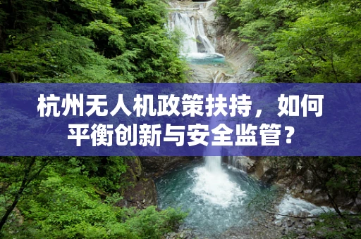 杭州无人机政策扶持，如何平衡创新与安全监管？