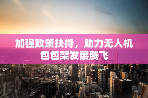 加强政策扶持，助力无人机包包架发展腾飞