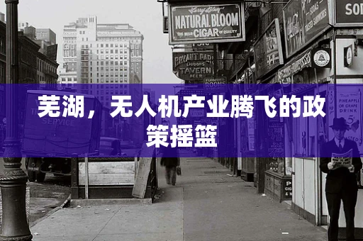 芜湖，无人机产业腾飞的政策摇篮