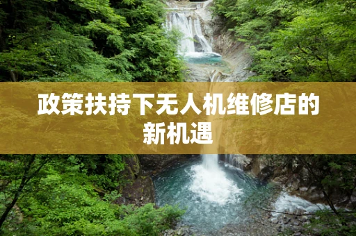 政策扶持下无人机维修店的新机遇