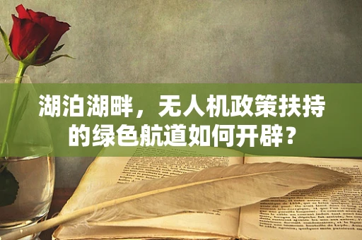 湖泊湖畔，无人机政策扶持的绿色航道如何开辟？