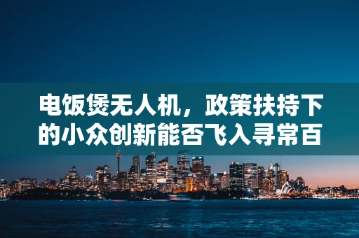 电饭煲无人机，政策扶持下的小众创新能否飞入寻常百姓家？