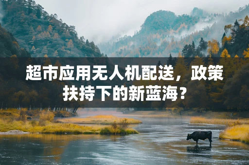 超市应用无人机配送，政策扶持下的新蓝海？