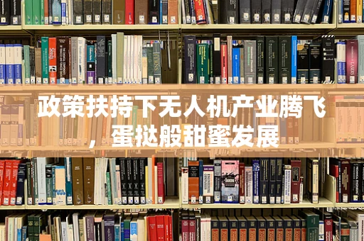 政策扶持下无人机产业腾飞，蛋挞般甜蜜发展