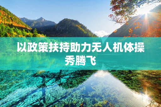 以政策扶持助力无人机体操秀腾飞