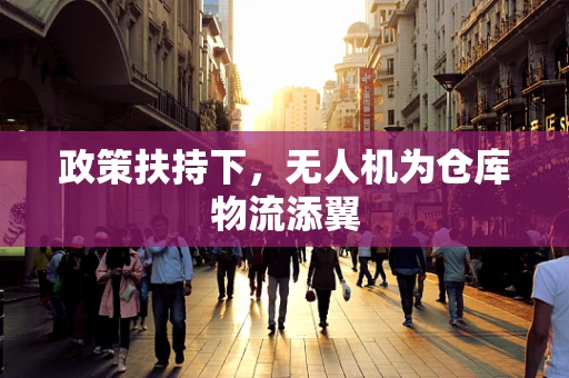 政策扶持下，无人机为仓库物流添翼