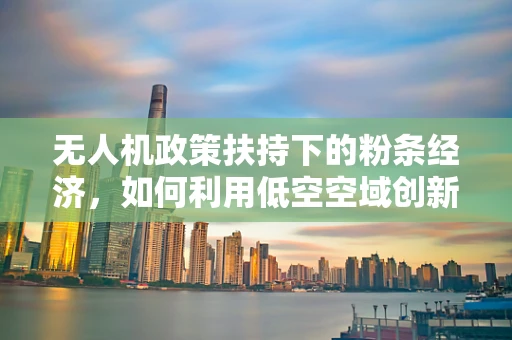 无人机政策扶持下的粉条经济，如何利用低空空域创新农业物流？