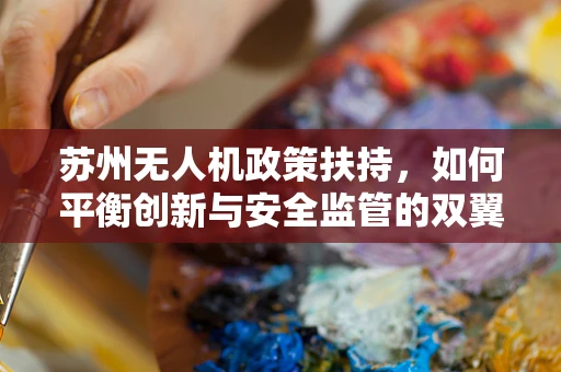 苏州无人机政策扶持，如何平衡创新与安全监管的双翼？