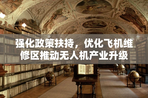 强化政策扶持，优化飞机维修区推动无人机产业升级