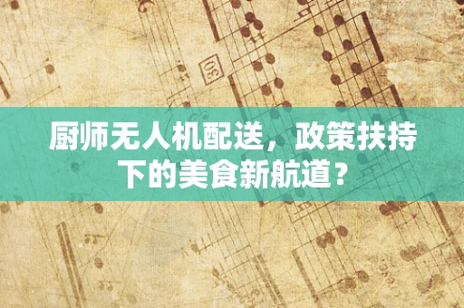 厨师无人机配送，政策扶持下的美食新航道？