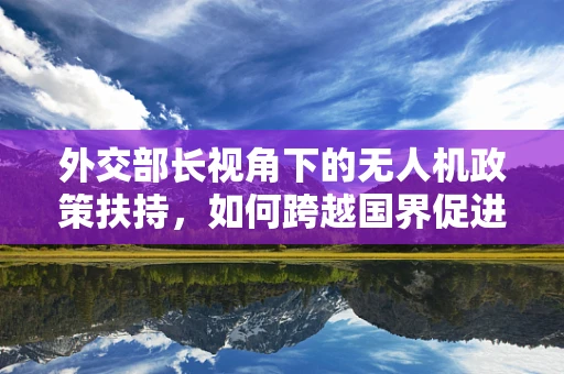 外交部长视角下的无人机政策扶持，如何跨越国界促进技术合作？