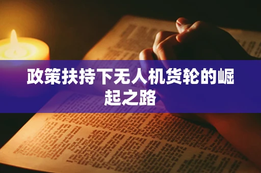 政策扶持下无人机货轮的崛起之路