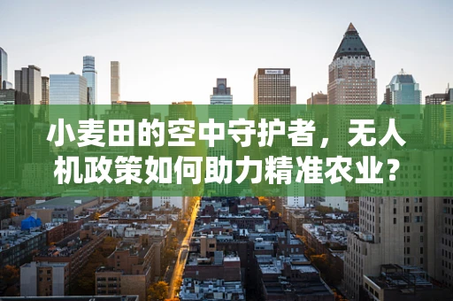 小麦田的空中守护者，无人机政策如何助力精准农业？