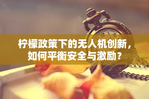 柠檬政策下的无人机创新，如何平衡安全与激励？