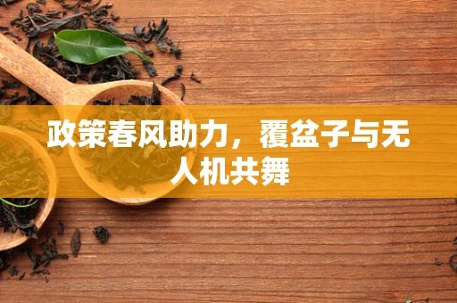 政策春风助力，覆盆子与无人机共舞