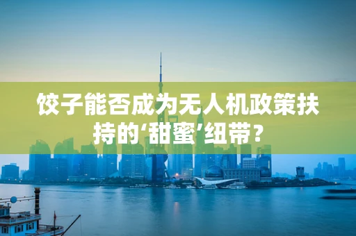 饺子能否成为无人机政策扶持的‘甜蜜’纽带？