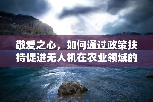 敬爱之心，如何通过政策扶持促进无人机在农业领域的普及与安全应用？
