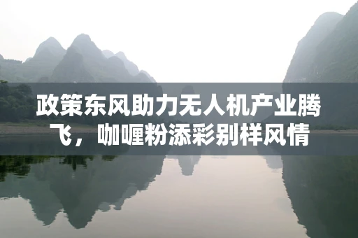 政策东风助力无人机产业腾飞，咖喱粉添彩别样风情