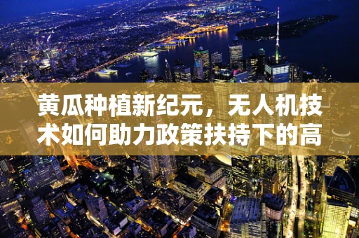 黄瓜种植新纪元，无人机技术如何助力政策扶持下的高效农业？
