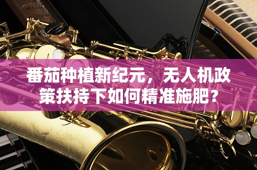 番茄种植新纪元，无人机政策扶持下如何精准施肥？