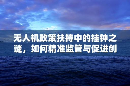 无人机政策扶持中的挂钟之谜，如何精准监管与促进创新？