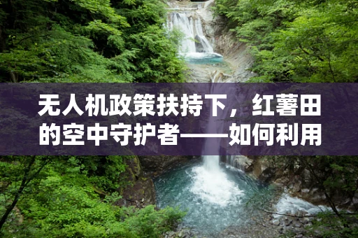 无人机政策扶持下，红薯田的空中守护者——如何利用无人机技术促进红薯种植的智能化监管？