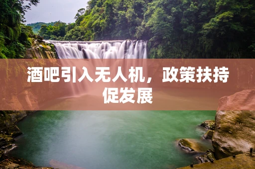 酒吧引入无人机，政策扶持促发展