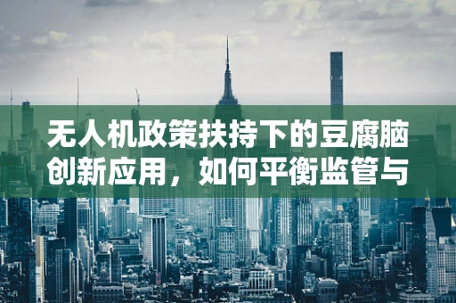 无人机政策扶持下的豆腐脑创新应用，如何平衡监管与创意？