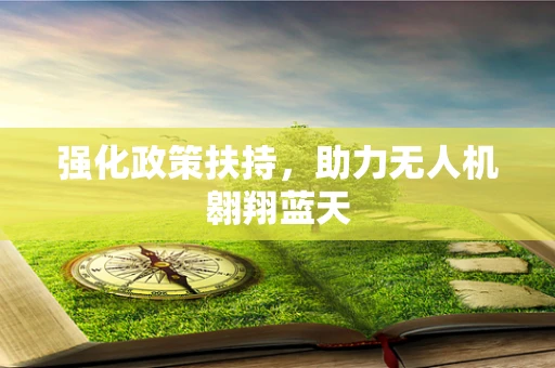 强化政策扶持，助力无人机翱翔蓝天