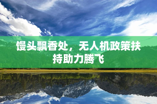 馒头飘香处，无人机政策扶持助力腾飞