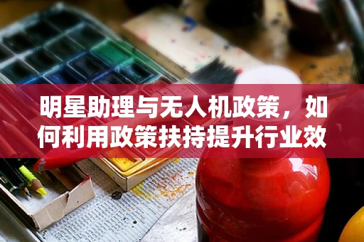 明星助理与无人机政策，如何利用政策扶持提升行业效率？