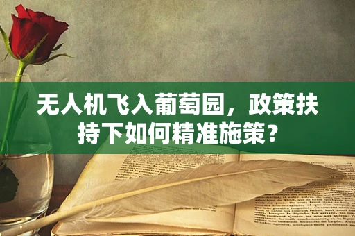 无人机飞入葡萄园，政策扶持下如何精准施策？