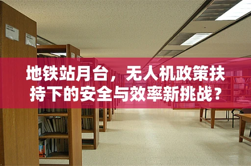 地铁站月台，无人机政策扶持下的安全与效率新挑战？