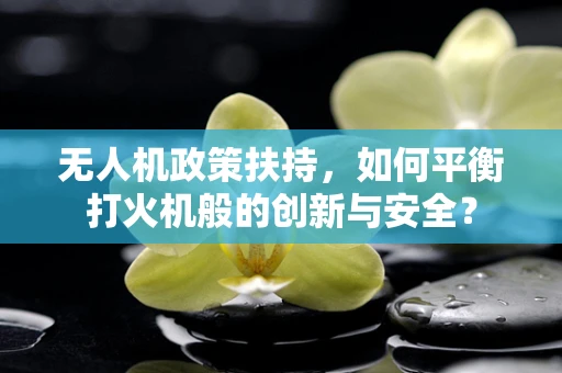 无人机政策扶持，如何平衡打火机般的创新与安全？