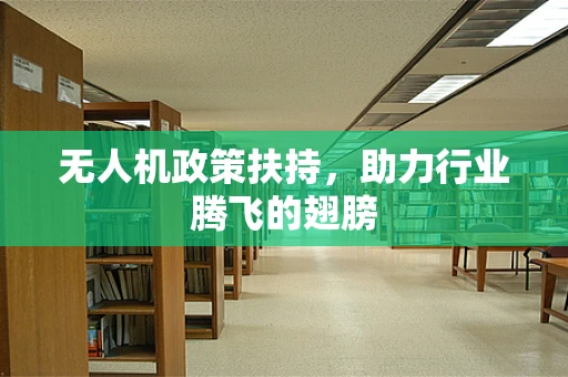 无人机政策扶持，助力行业腾飞的翅膀