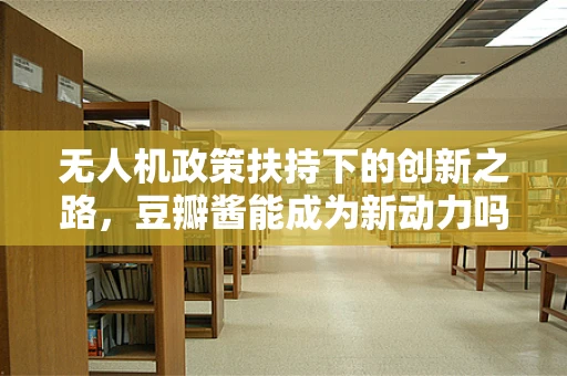 无人机政策扶持下的创新之路，豆瓣酱能成为新动力吗？